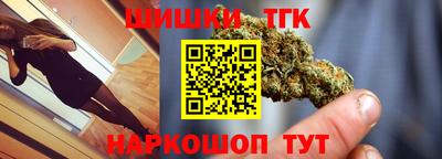 СК Дубна