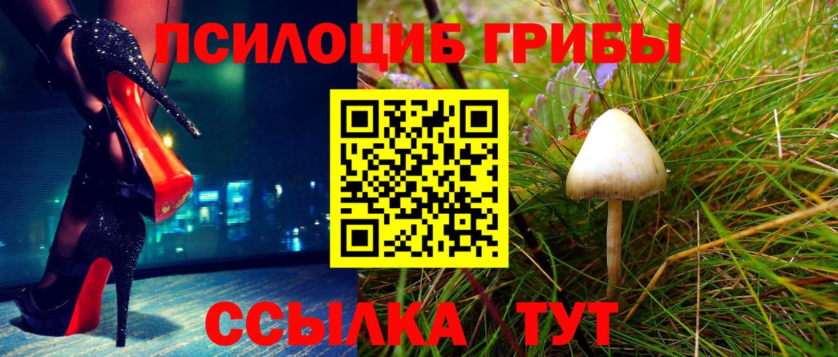 Галлюциногенные грибы MAGIC MUSHROOMS Михайловка
