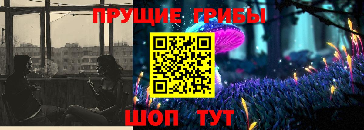 Галлюциногенные грибы Cubensis  Вход с VPN  Михайловка 